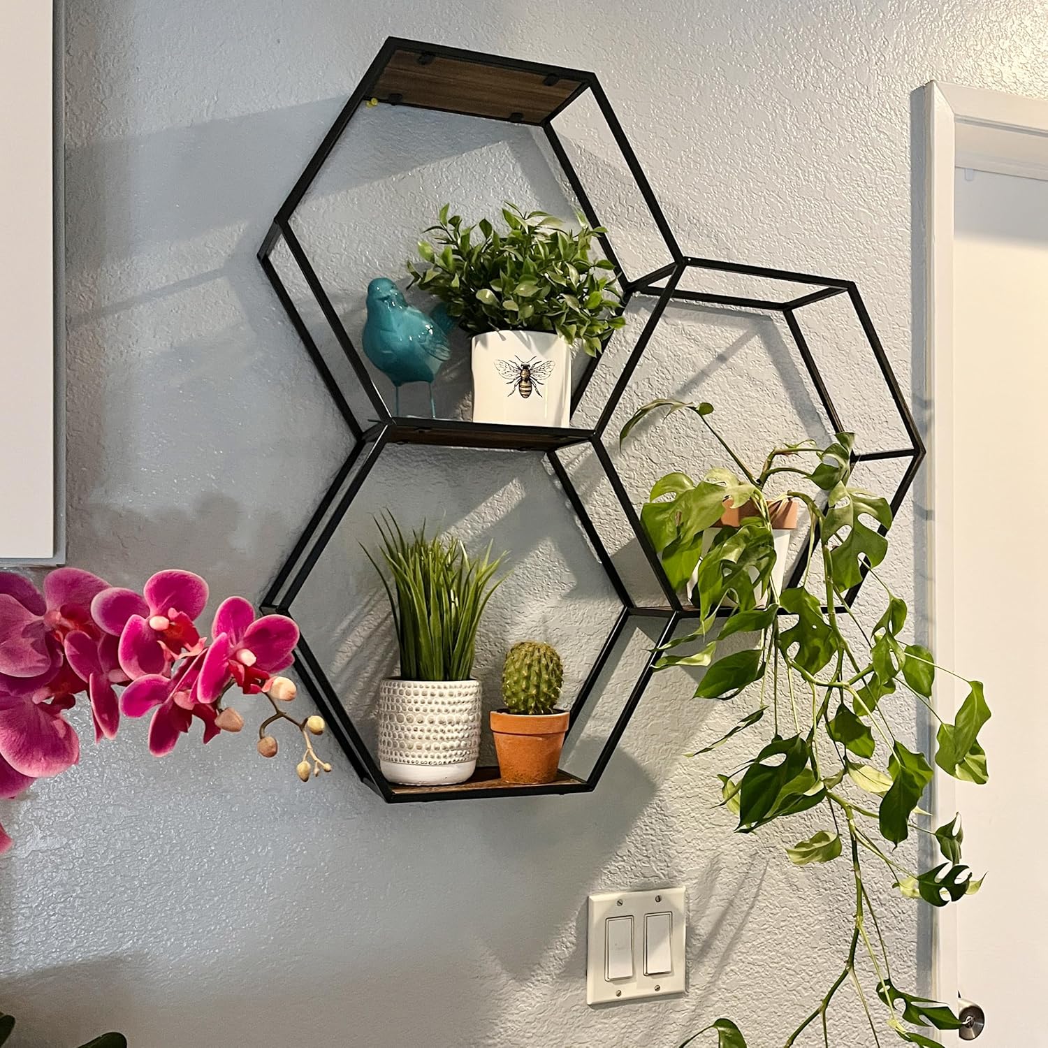 Admired By Nature 3-Tier Hexagon Floating Wall Shelf